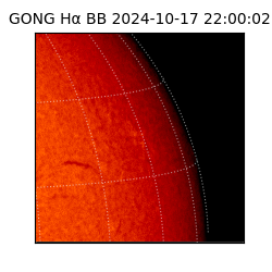 gong - 2024-10-17T22:00:02