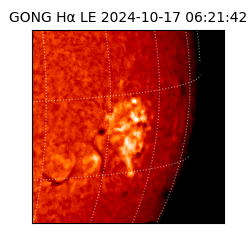 gong - 2024-10-17T06:21:42