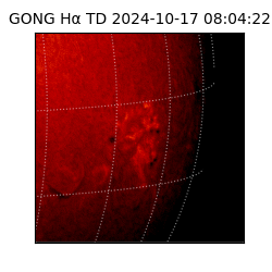 gong - 2024-10-17T08:04:22