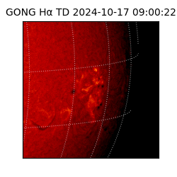 gong - 2024-10-17T09:00:22