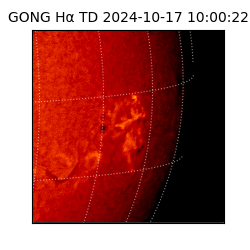 gong - 2024-10-17T10:00:22