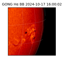 gong - 2024-10-17T16:00:02