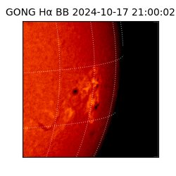 gong - 2024-10-17T21:00:02