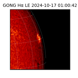 gong - 2024-10-17T01:00:42