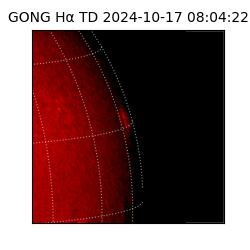 gong - 2024-10-17T08:04:22