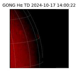 gong - 2024-10-17T14:00:22