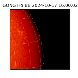 gong - 2024-10-17T16:00:02