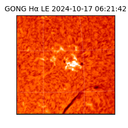 gong - 2024-10-17T06:21:42