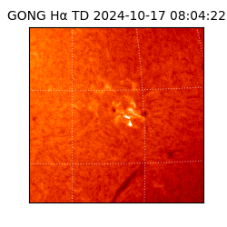 gong - 2024-10-17T08:04:22