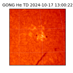 gong - 2024-10-17T13:00:22