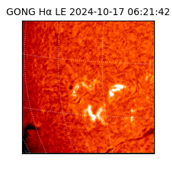 gong - 2024-10-17T06:21:42