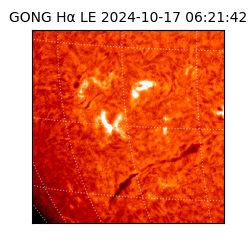 gong - 2024-10-17T06:21:42