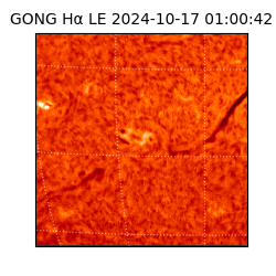 gong - 2024-10-17T01:00:42