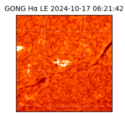 gong - 2024-10-17T06:21:42