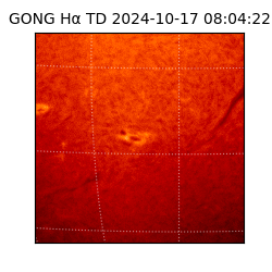 gong - 2024-10-17T08:04:22