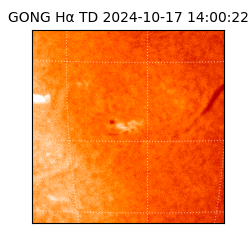 gong - 2024-10-17T14:00:22