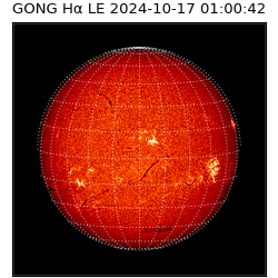 gong - 2024-10-17T01:00:42