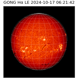 gong - 2024-10-17T06:21:42