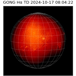 gong - 2024-10-17T08:04:22
