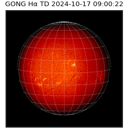 gong - 2024-10-17T09:00:22