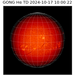 gong - 2024-10-17T10:00:22