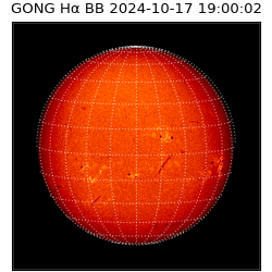 gong - 2024-10-17T19:00:02