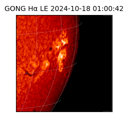 gong - 2024-10-18T01:00:42