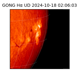 gong - 2024-10-18T02:06:03