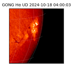 gong - 2024-10-18T04:00:03