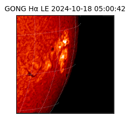 gong - 2024-10-18T05:00:42