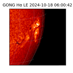 gong - 2024-10-18T06:00:42