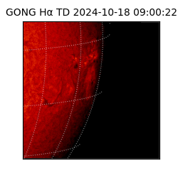 gong - 2024-10-18T09:00:22