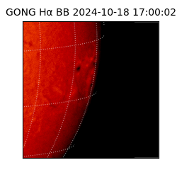 gong - 2024-10-18T17:00:02