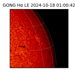 gong - 2024-10-18T01:00:42