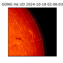 gong - 2024-10-18T02:06:03