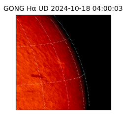 gong - 2024-10-18T04:00:03