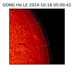 gong - 2024-10-18T05:00:42