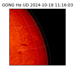 gong - 2024-10-18T11:16:03