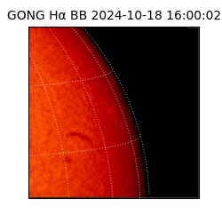 gong - 2024-10-18T16:00:02