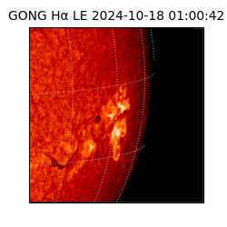 gong - 2024-10-18T01:00:42