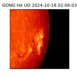 gong - 2024-10-18T02:06:03