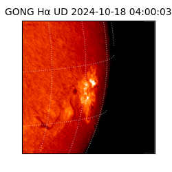 gong - 2024-10-18T04:00:03