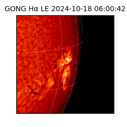gong - 2024-10-18T06:00:42