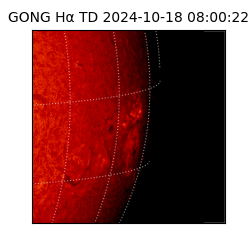gong - 2024-10-18T08:00:22