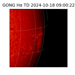 gong - 2024-10-18T09:00:22