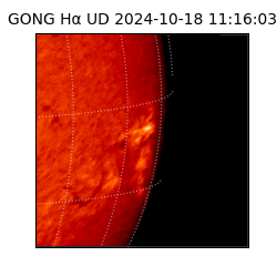 gong - 2024-10-18T11:16:03