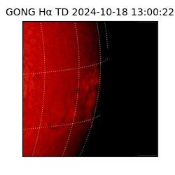 gong - 2024-10-18T13:00:22