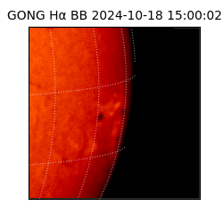 gong - 2024-10-18T15:00:02