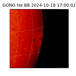 gong - 2024-10-18T17:00:02