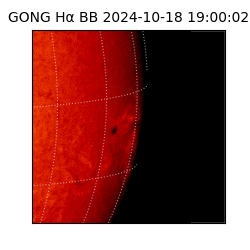 gong - 2024-10-18T19:00:02